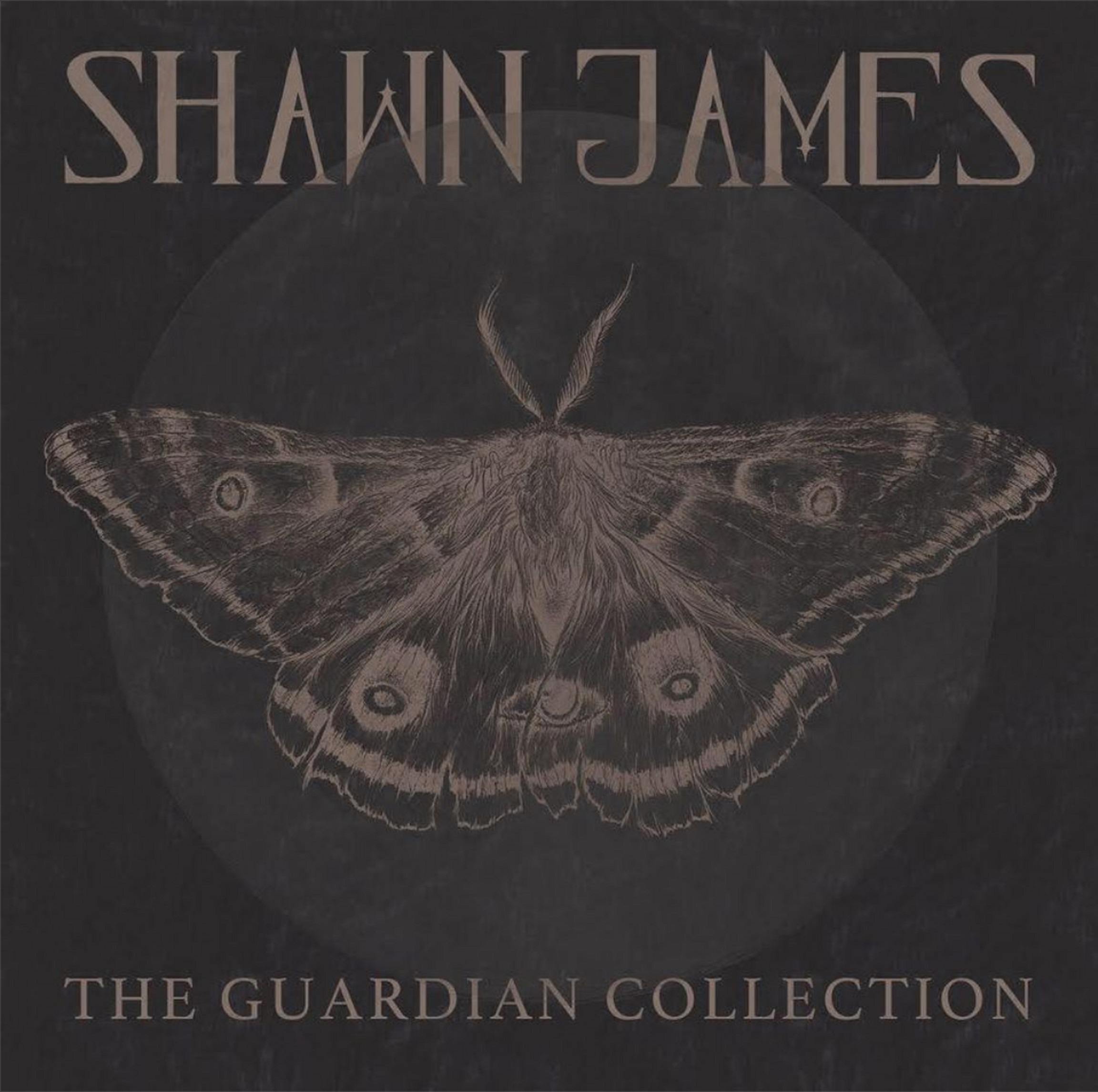 Shawn James "The Guardian Collection" out now