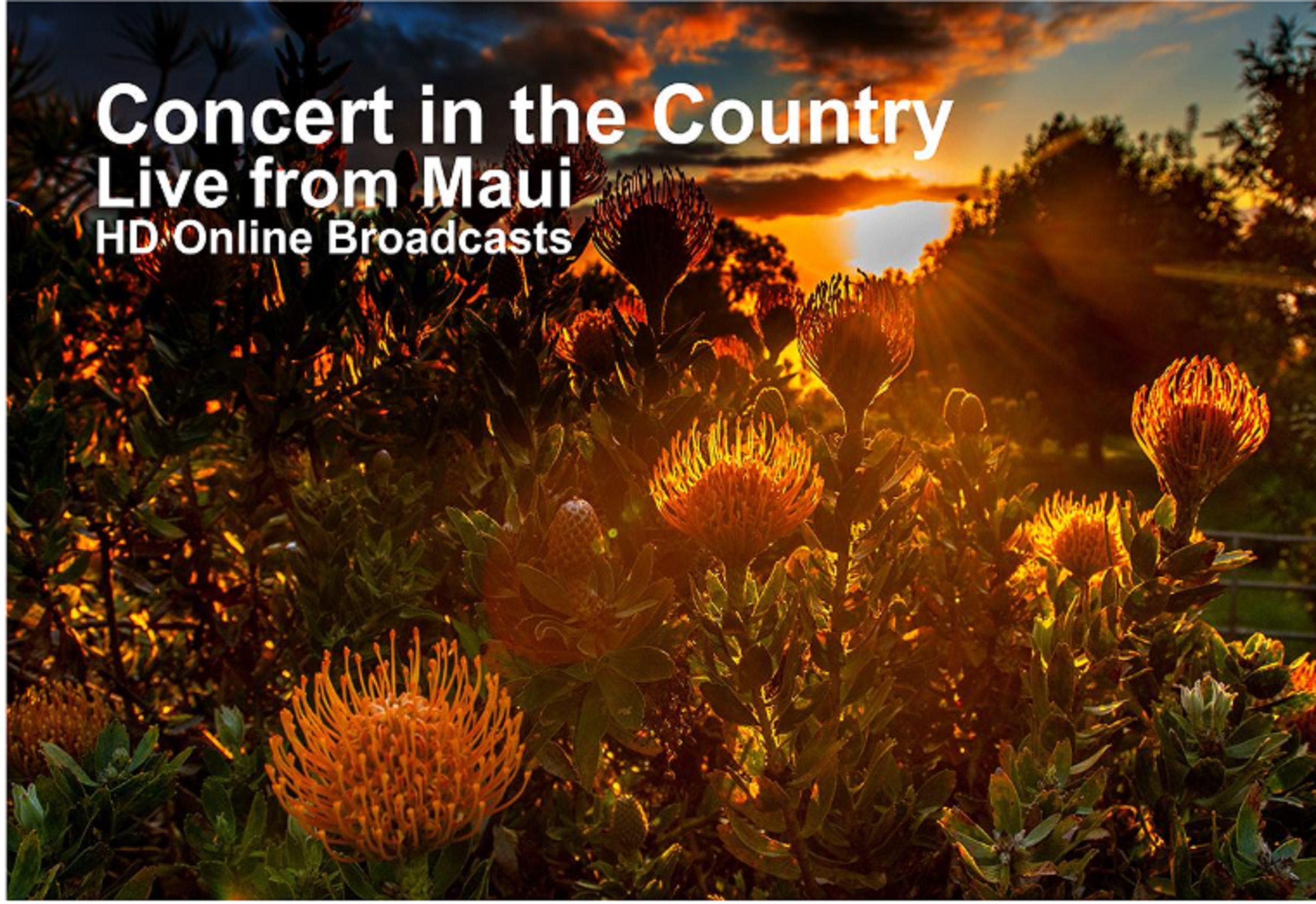 TWO CONCERTS BROADCAST LIVE FROM MAUI FEATURING A GRAMMY AWARD-WINNING HAWAIIAN LEGEND AND A RISING STAR