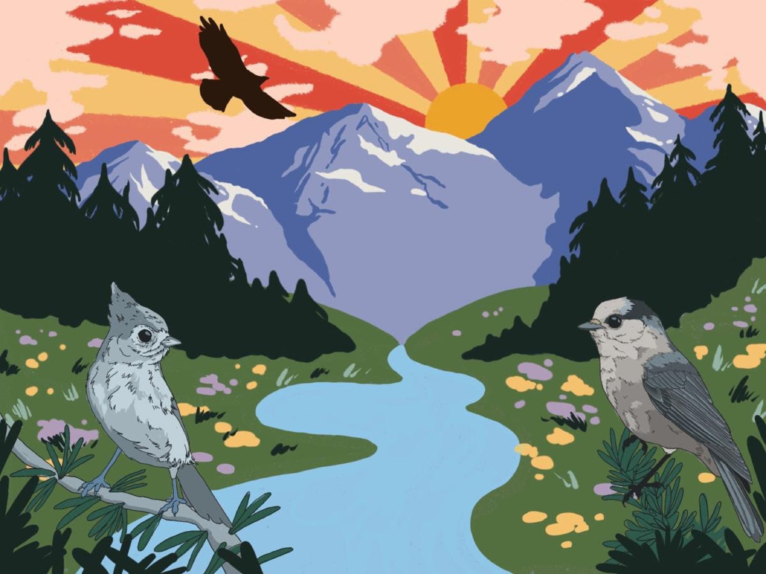 Grammy-Winning 'For The Birds: The Birdsong Project' and National Audubon Society Partner On Aspen Summer Of Birds Events