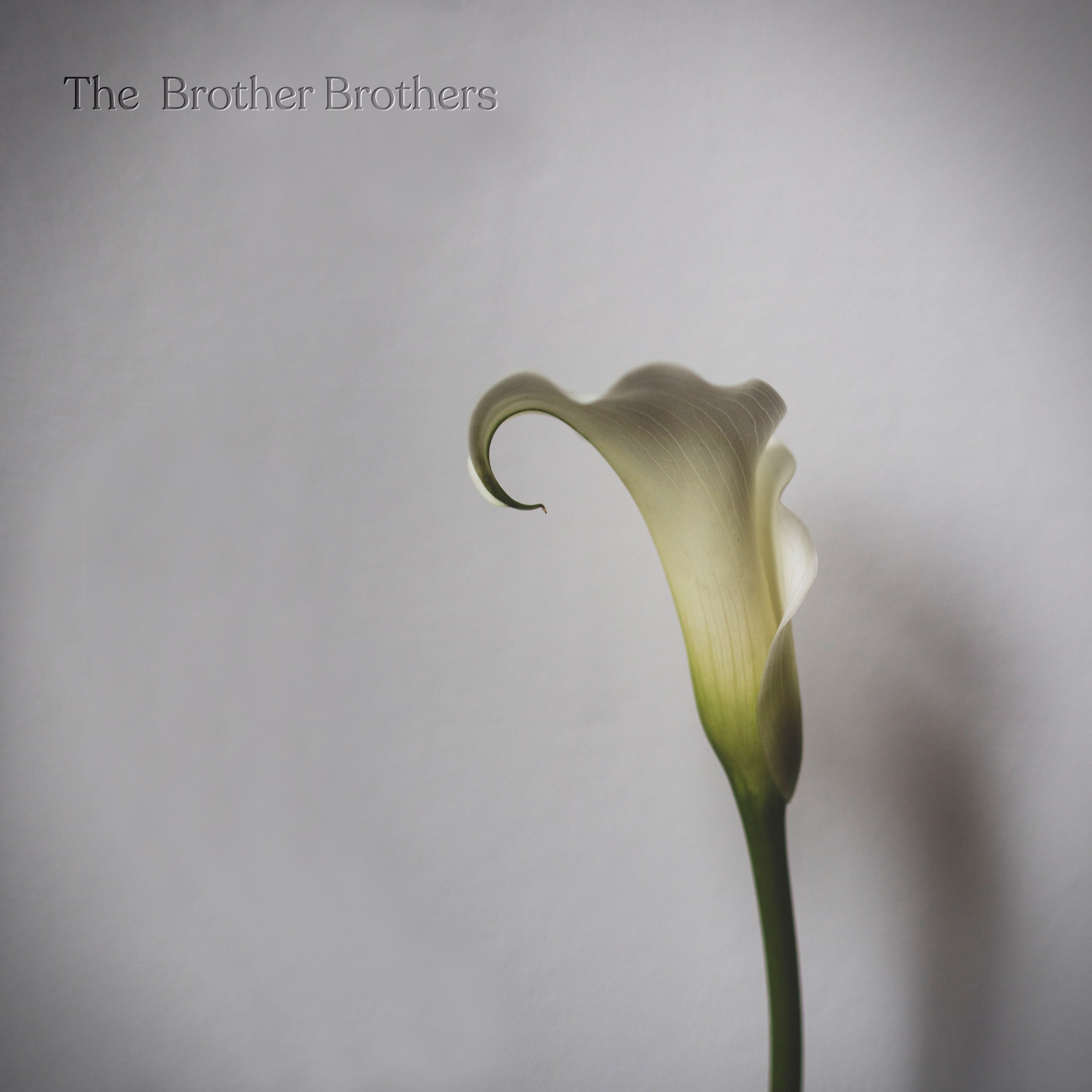 The Brother Brothers Share New Single "Sorrow"