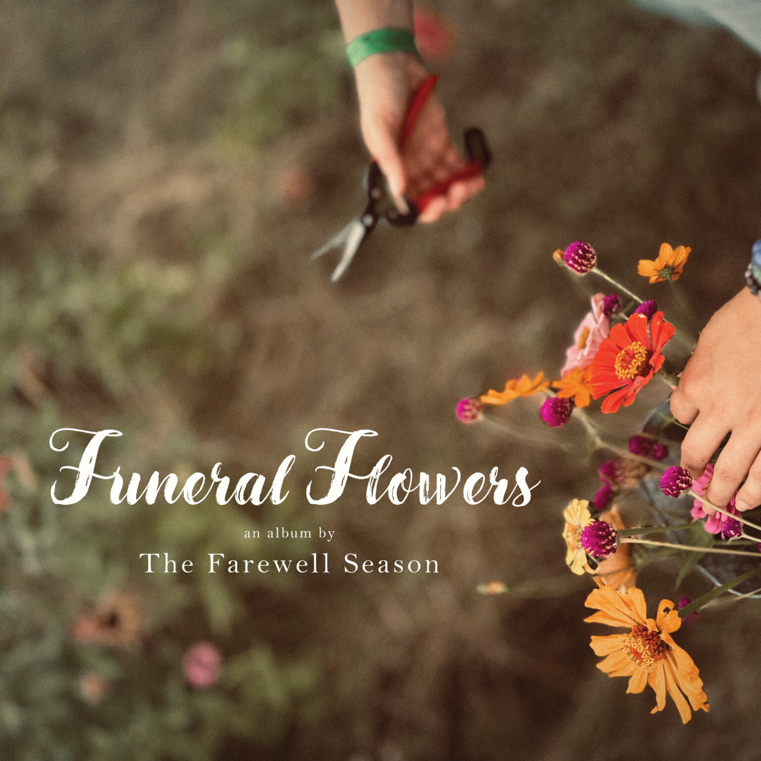 The Farewell Season Releases Debut Album, Funeral Flowers