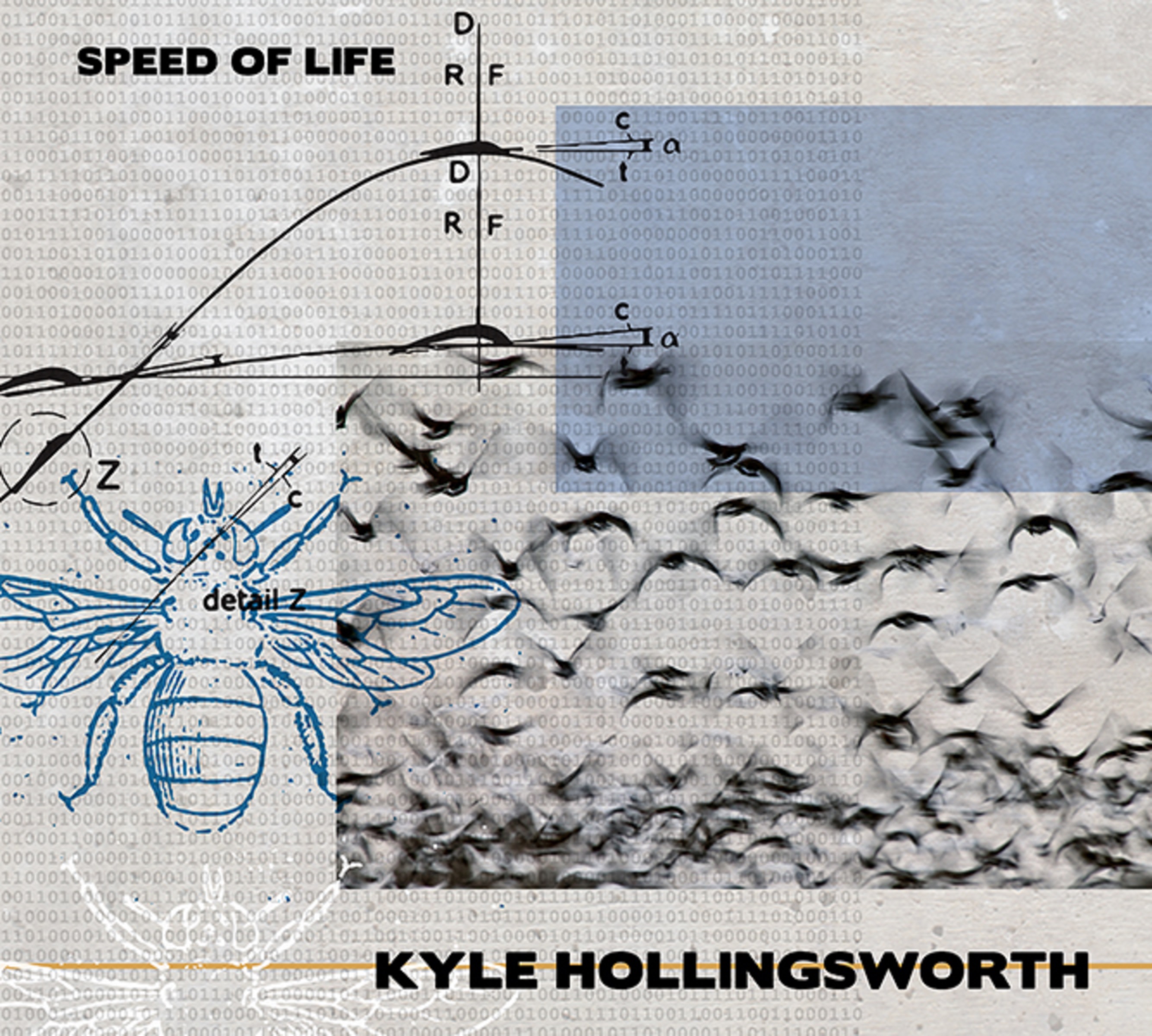 Kyle Hollingsworth | Speed of Life | Review