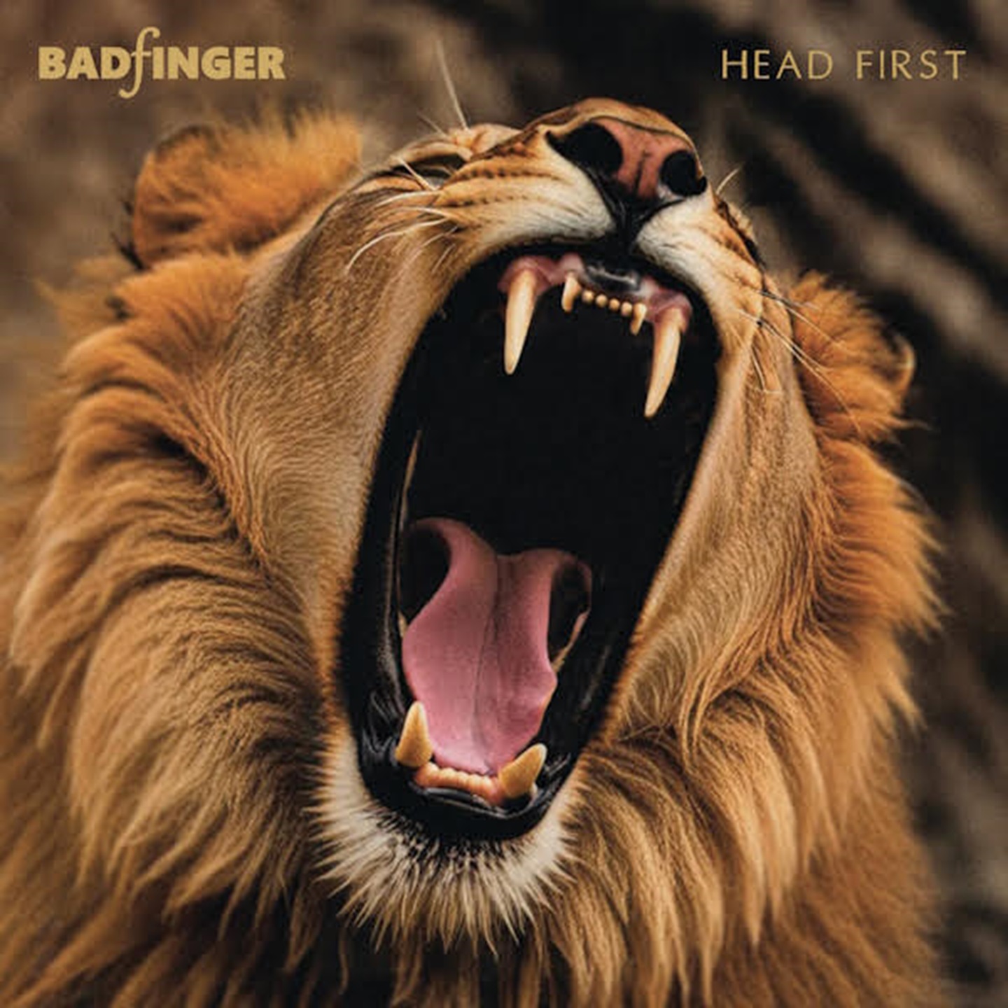 Badfinger’s Long-Lost Album “Head First” Set for Its First Official Release In 2024