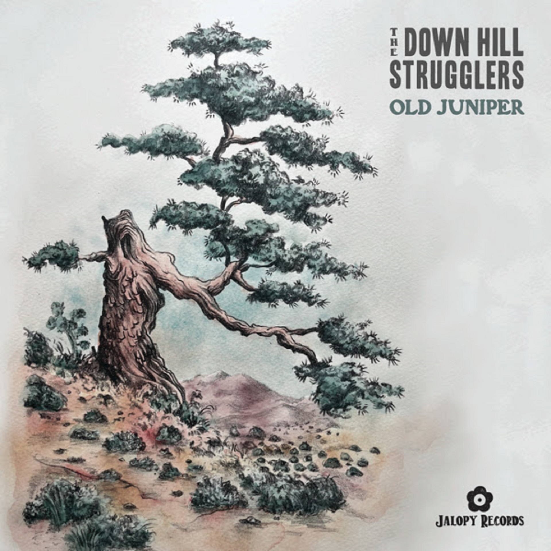DOWN HILL STRUGGLERS SHARE JAUNTY, HUMOROUS SINGLE “LET THE RICH GO BUST”