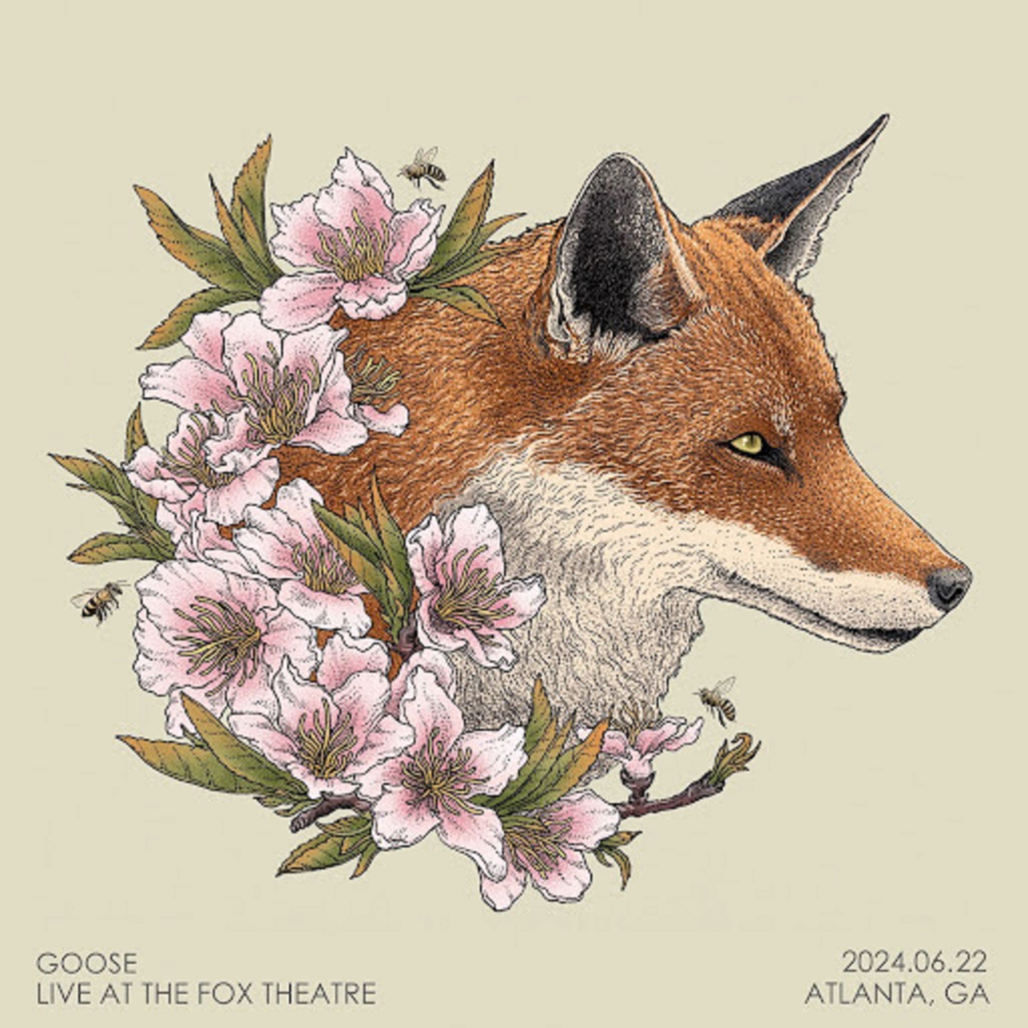 Goose Release Live at The Fox Theatre Today; Fall Tour Begins Sept 1