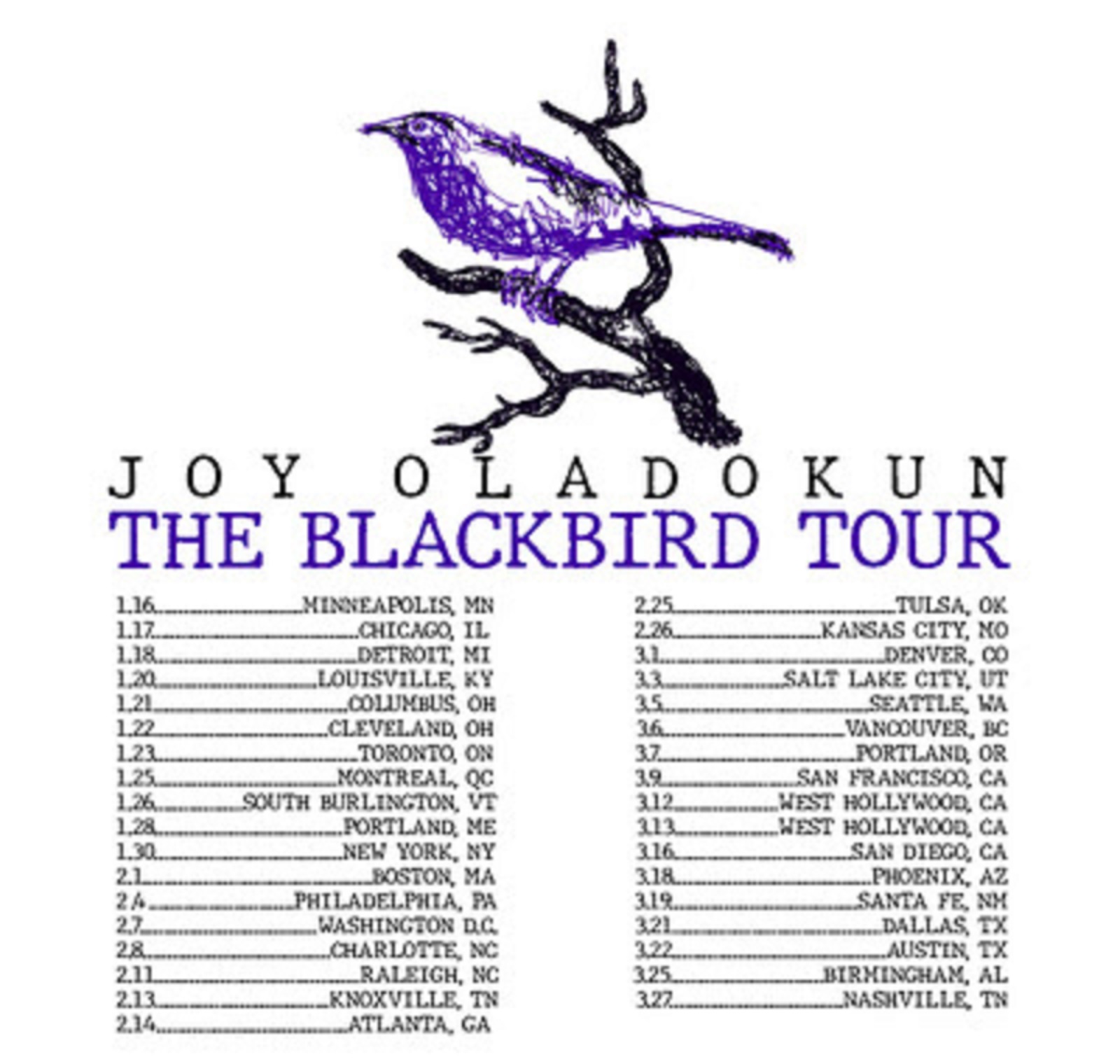 Joy Oladokun confirms extensive headlining 2025 "The Blackbird Tour"