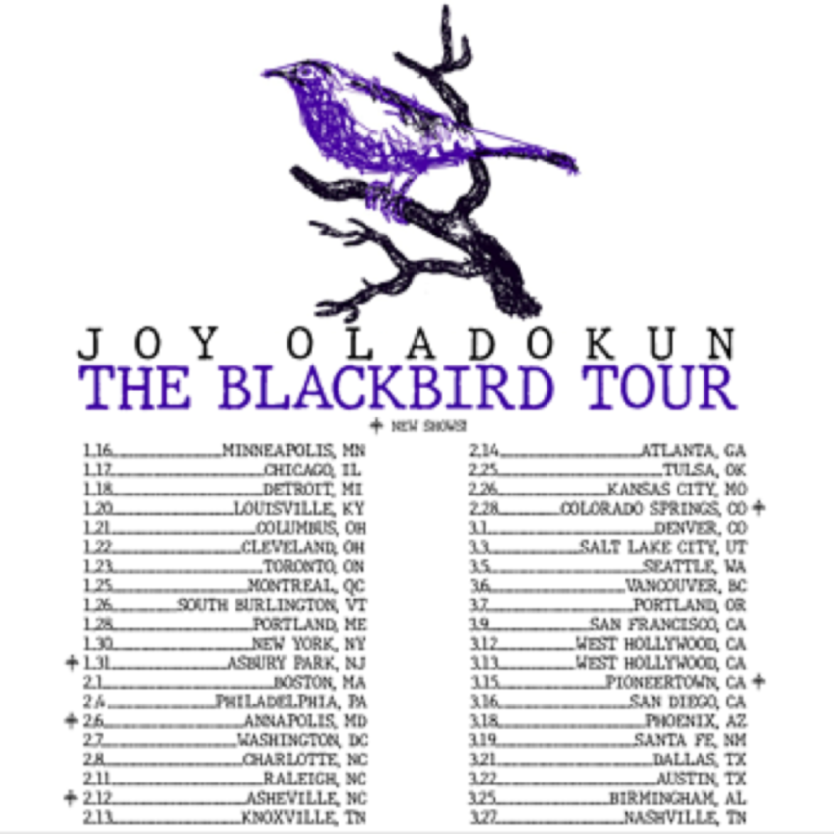 Joy Oladokun confirms additional dates for "The Blackbird Tour"