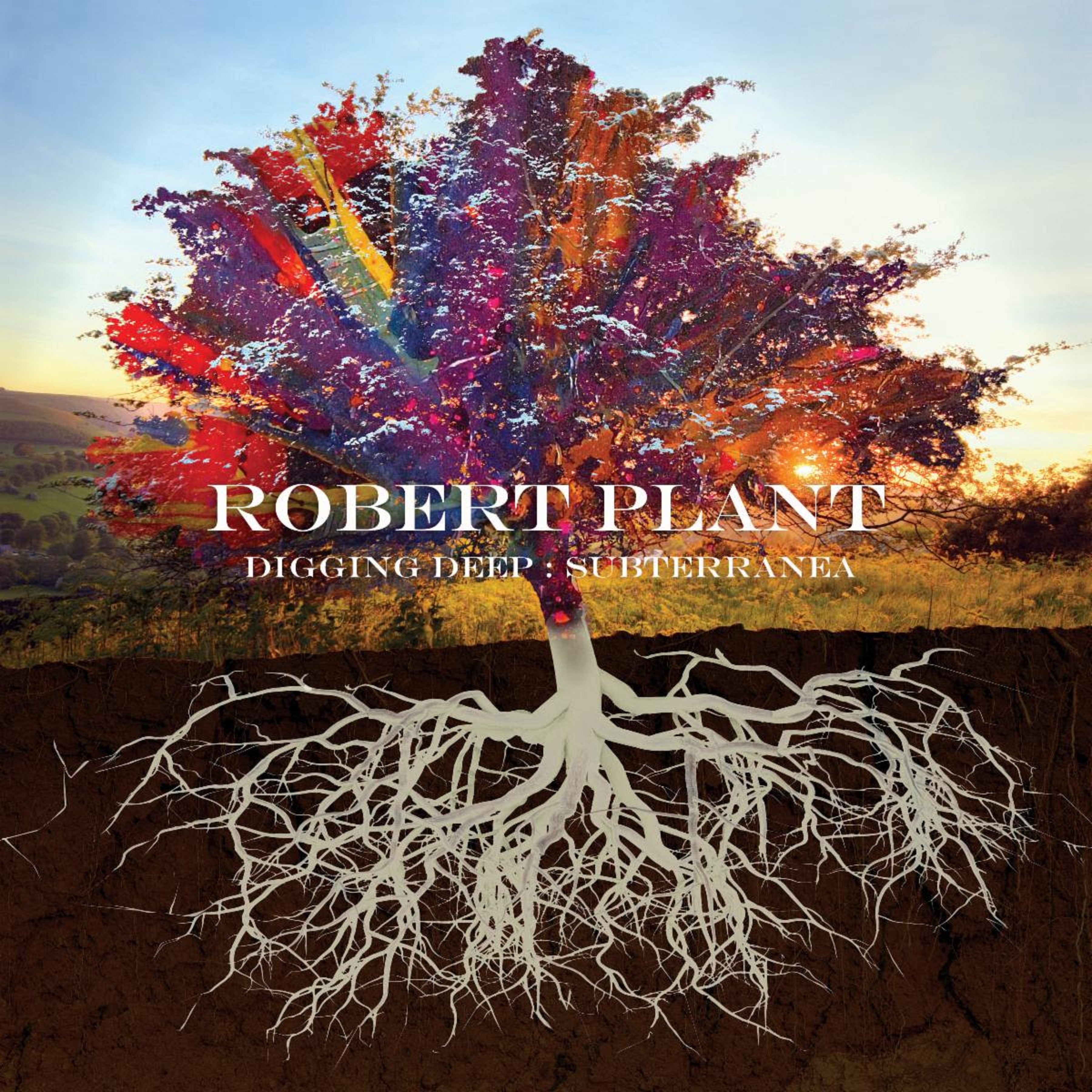 Robert Plant Album