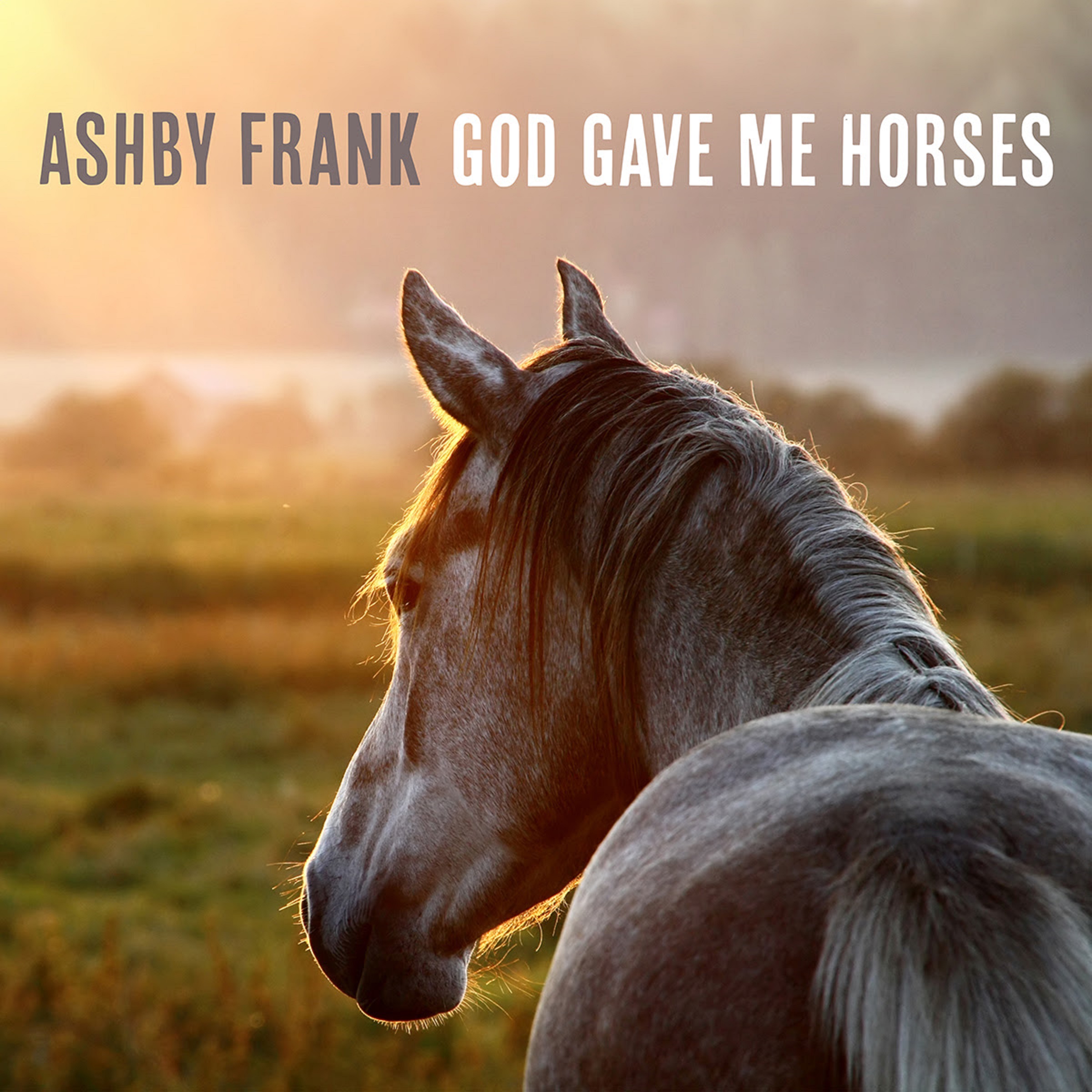 Ashby Frank’s “God Gave Me Horses” resonates with listeners of all generations