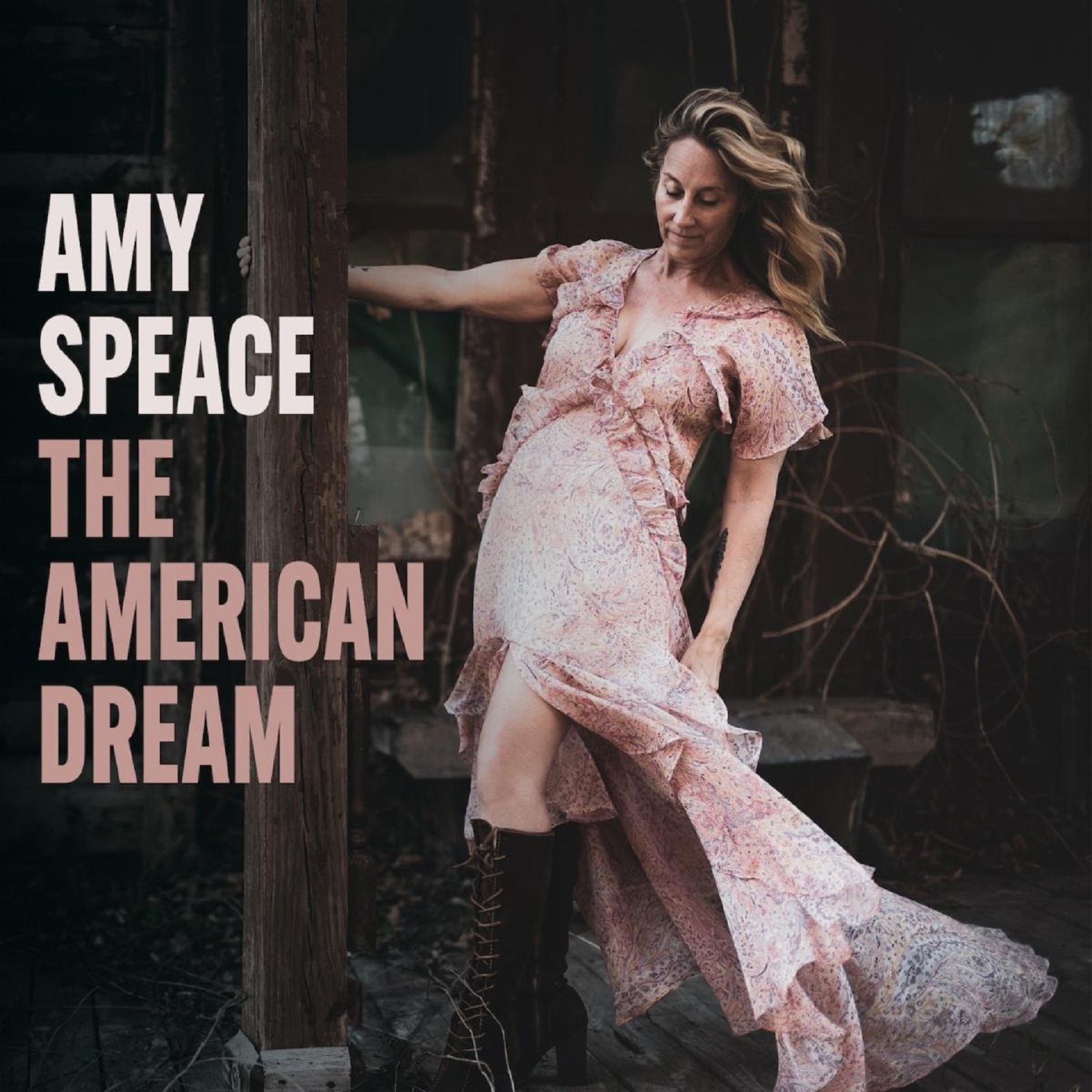 Amy Speace Transfers Her Storied Past To A Shining Present On New Album The American Dream