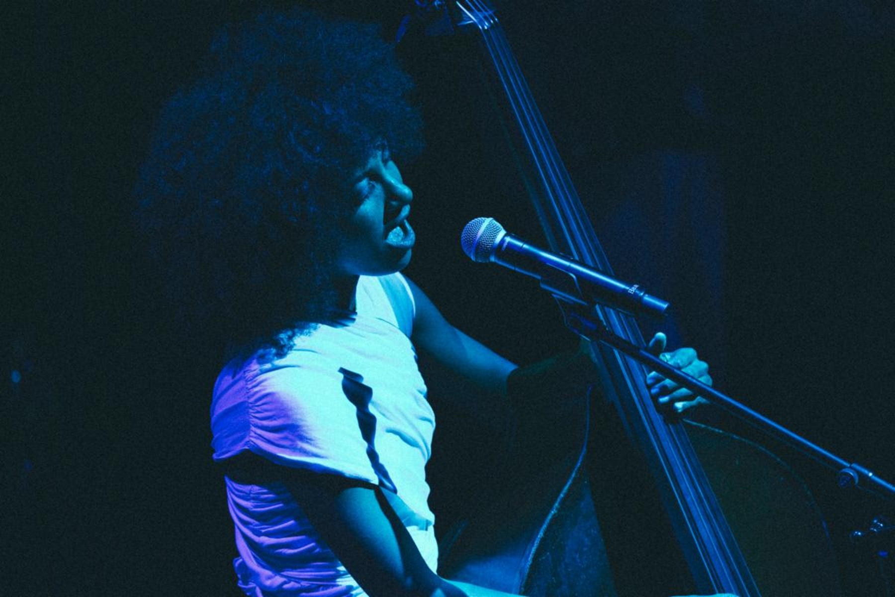 esperanza spalding Details 2025 Performances, Including 12-Night Residency at Blue Note NYC Beginning February 18, Big Ears and More