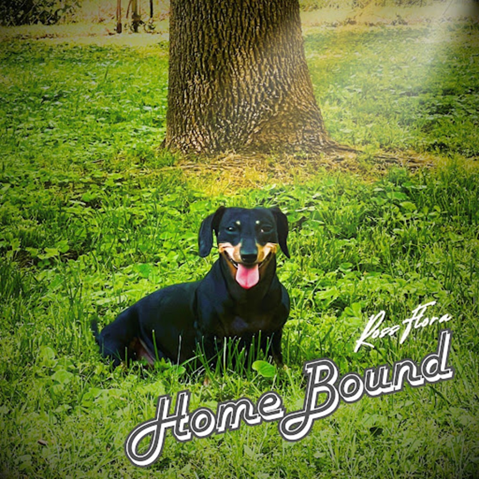 ROSS FLORA ANNOUNCES NEW SINGLE, “HOME BOUND” — A SOULFUL TRIBUTE TO LOVE, BELONGING, AND THE JOURNEY BACK HOME