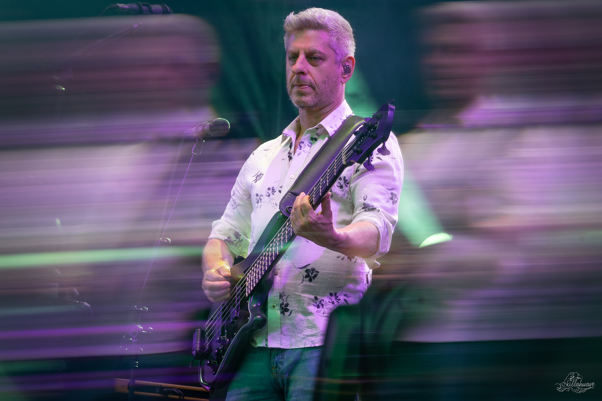 Bassist Mike Gordon | Phish