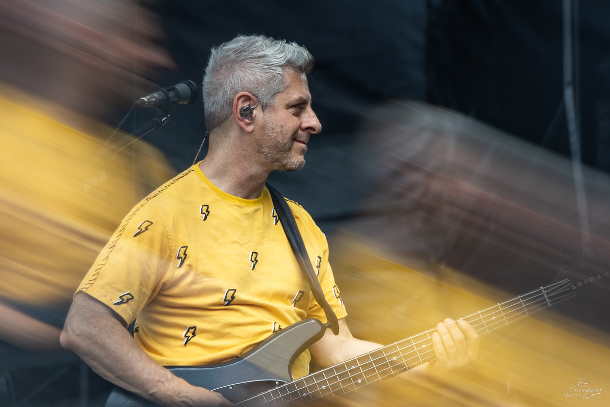 Bassist Mike Gordon | Phish