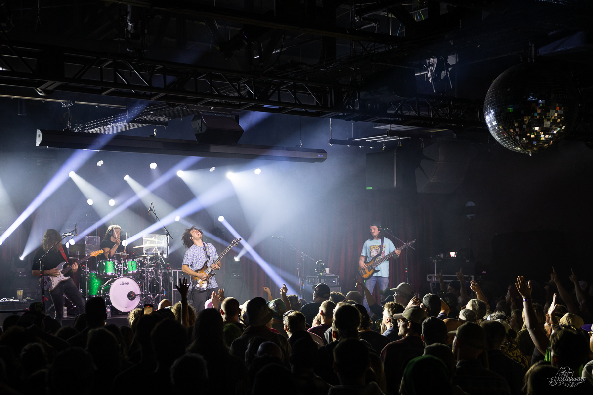 Dogs in a Pile | Brooklyn Bowl Philly