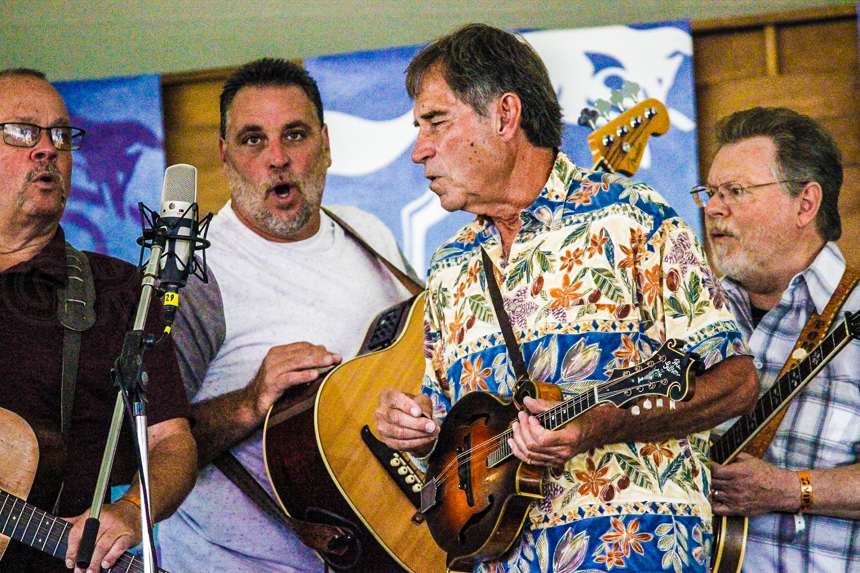 Grey Fox Bluegrass Festival Celebrates 35 Years of Magnificent Music