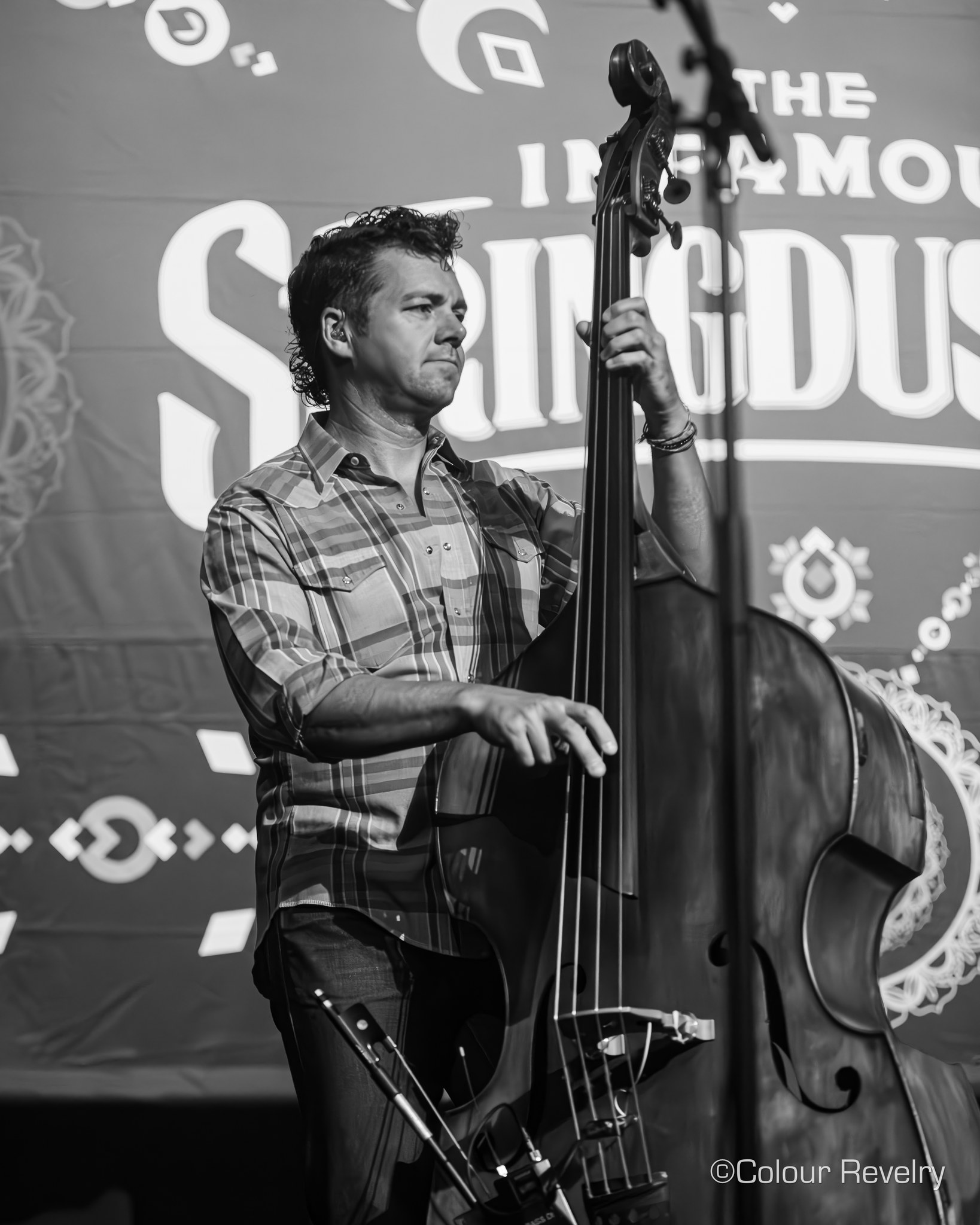 Travis Book | The Infamous Stringdusters