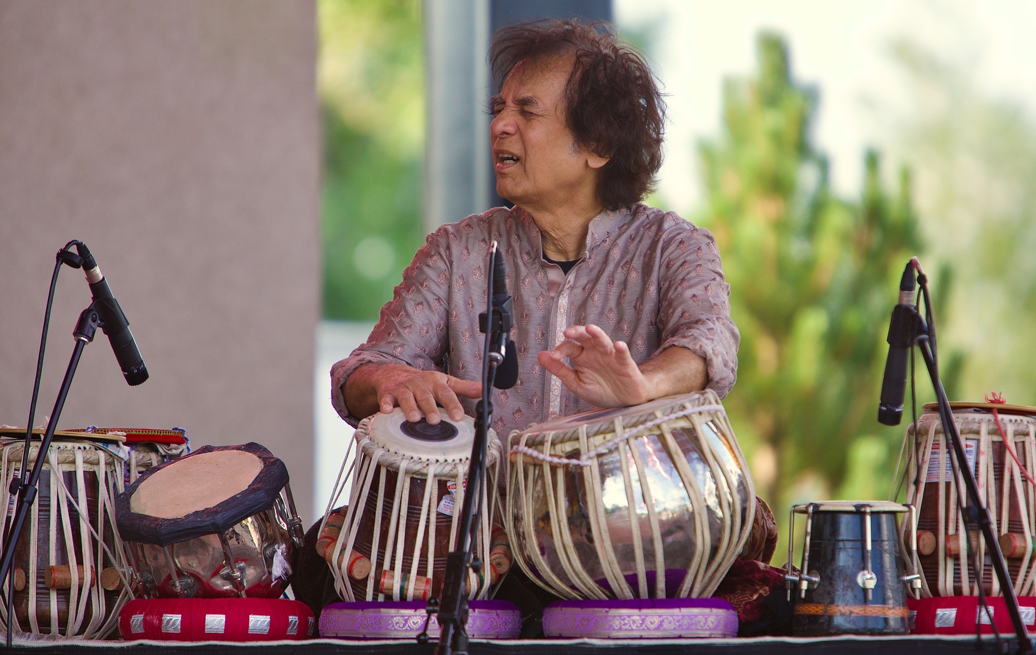 Zakir Hussain | Gardens at Spring Creek