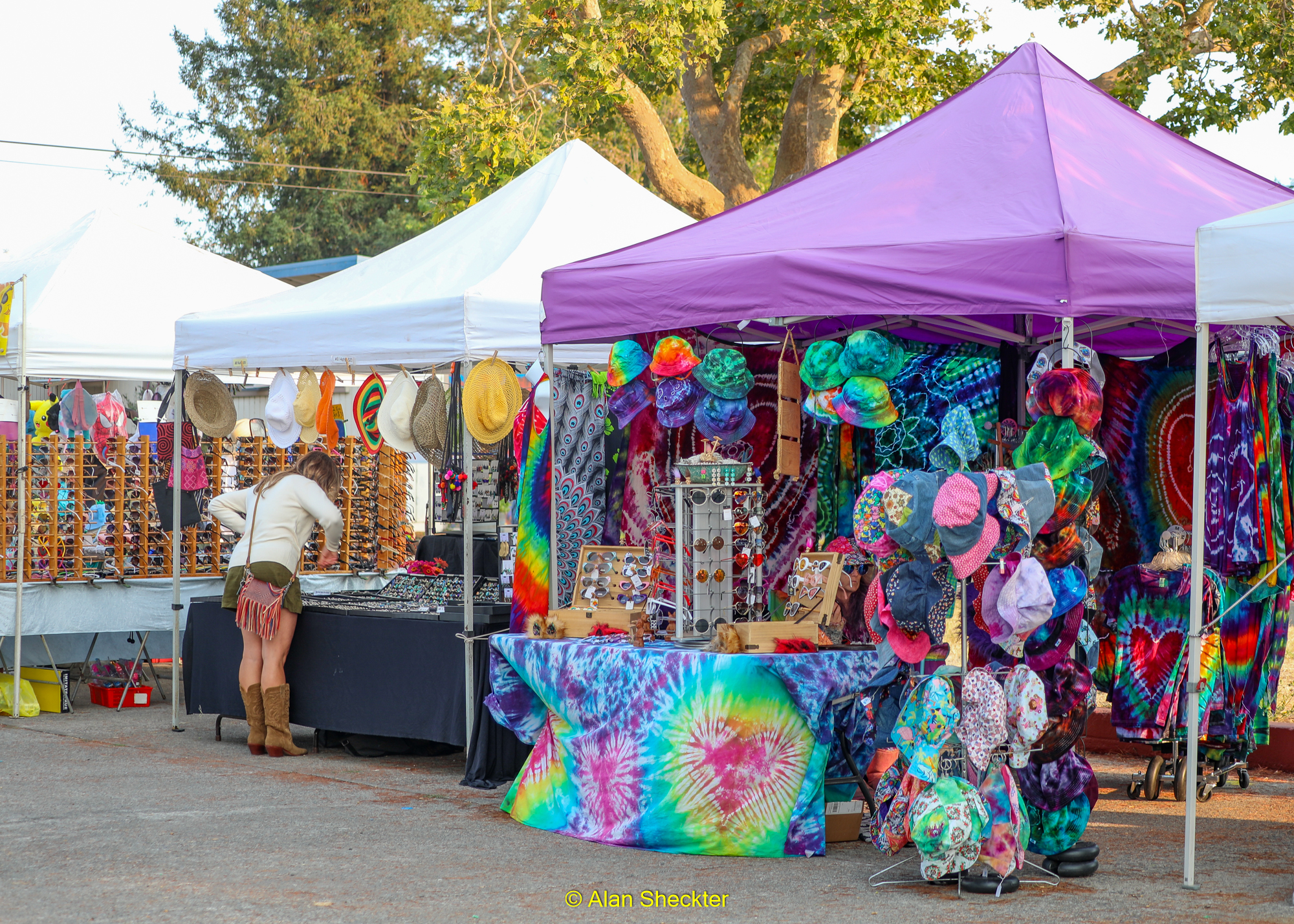 Petaluma Music Festival