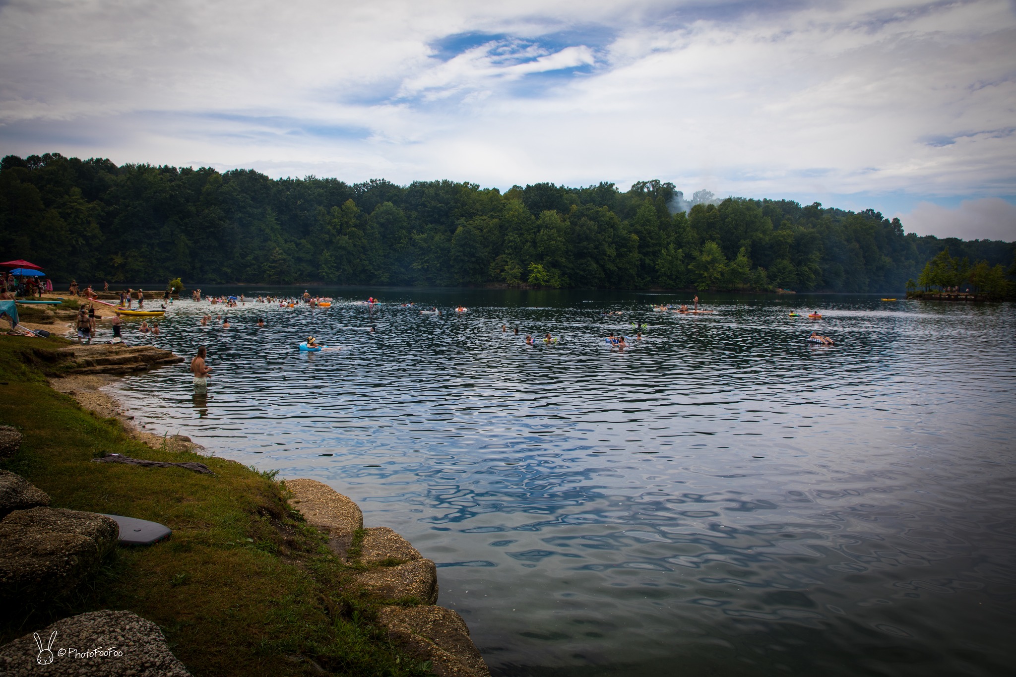 Swimming in the lake keeping everyone cool and joyful