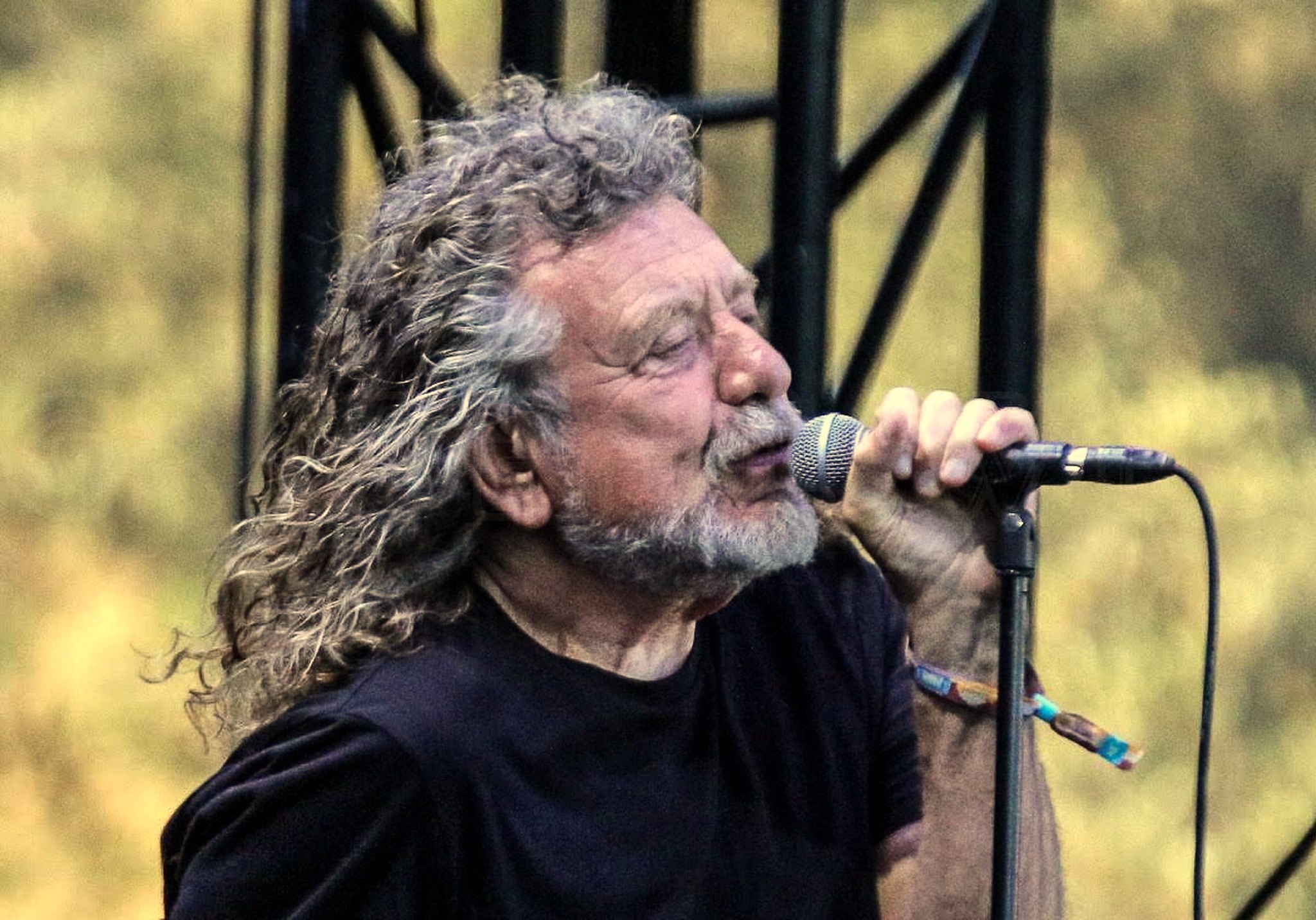 Robert Plant