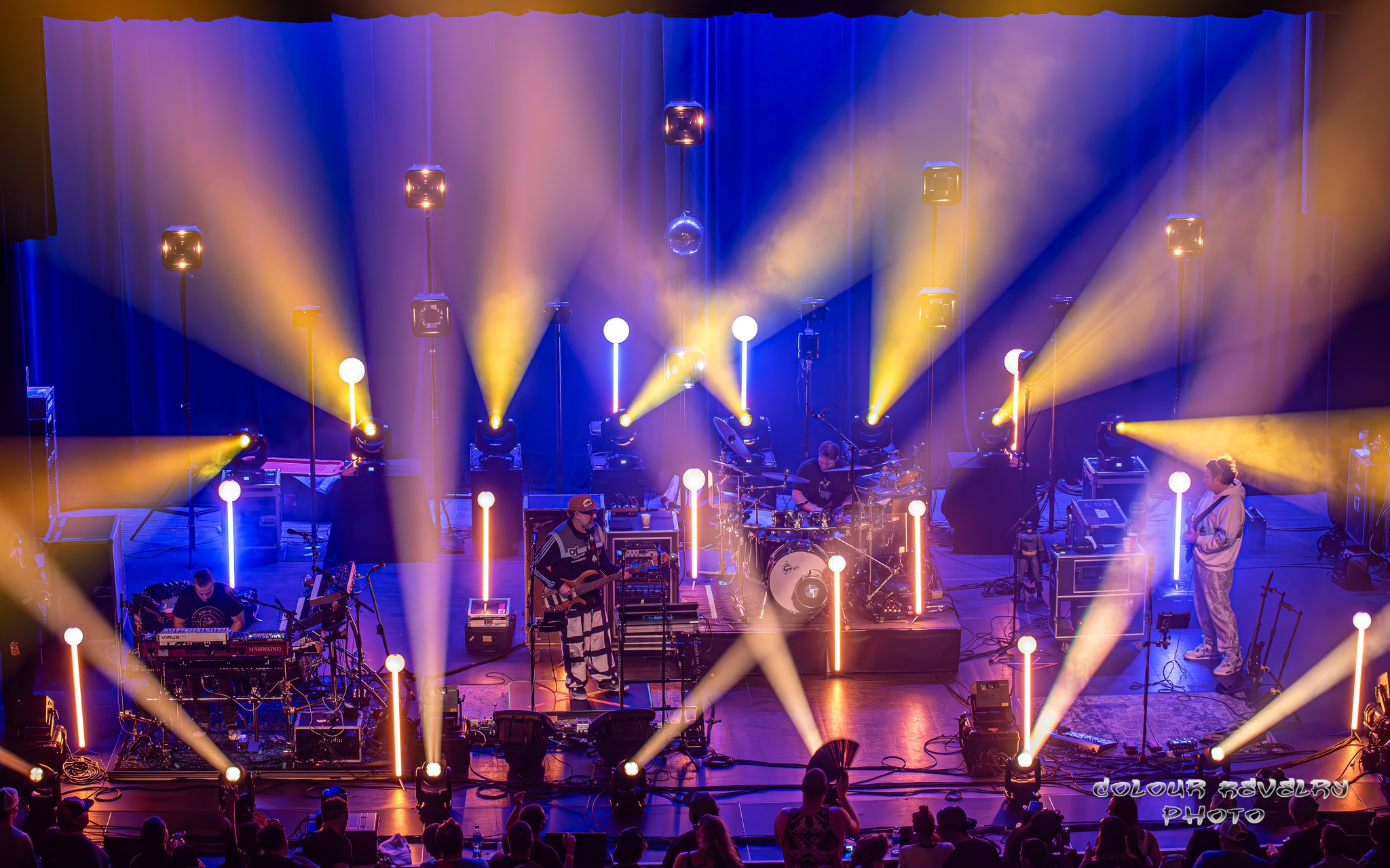 Disco Biscuits | Wilkes-Barre, PA