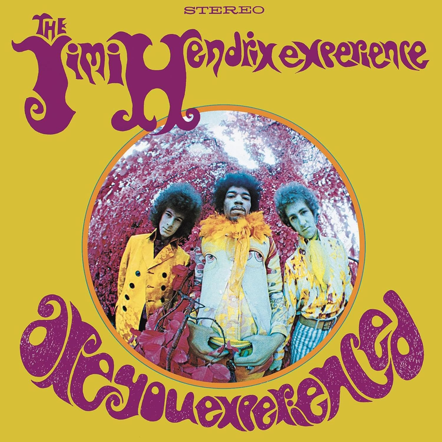 Have You Ever Been Experienced? A Tribute to Jimi Hendrix