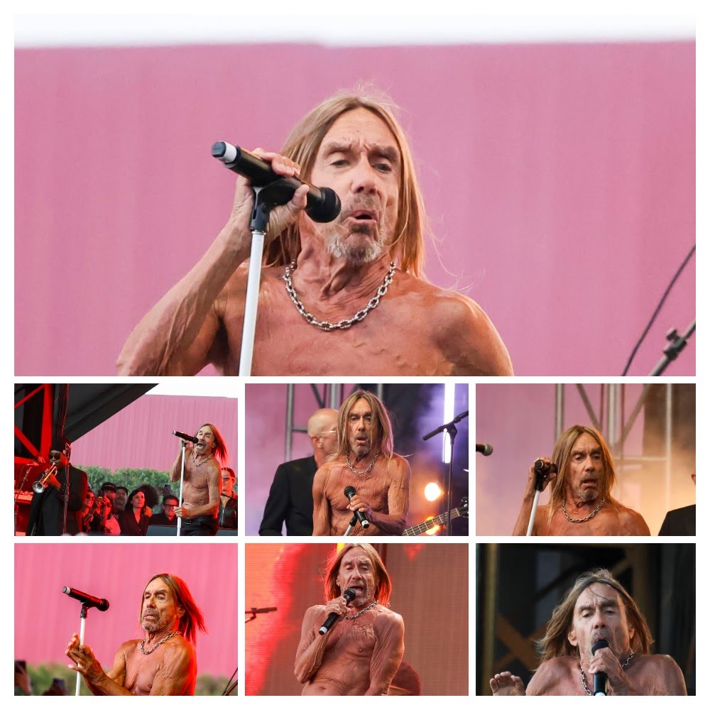 Iggy Pop | No Values Festival