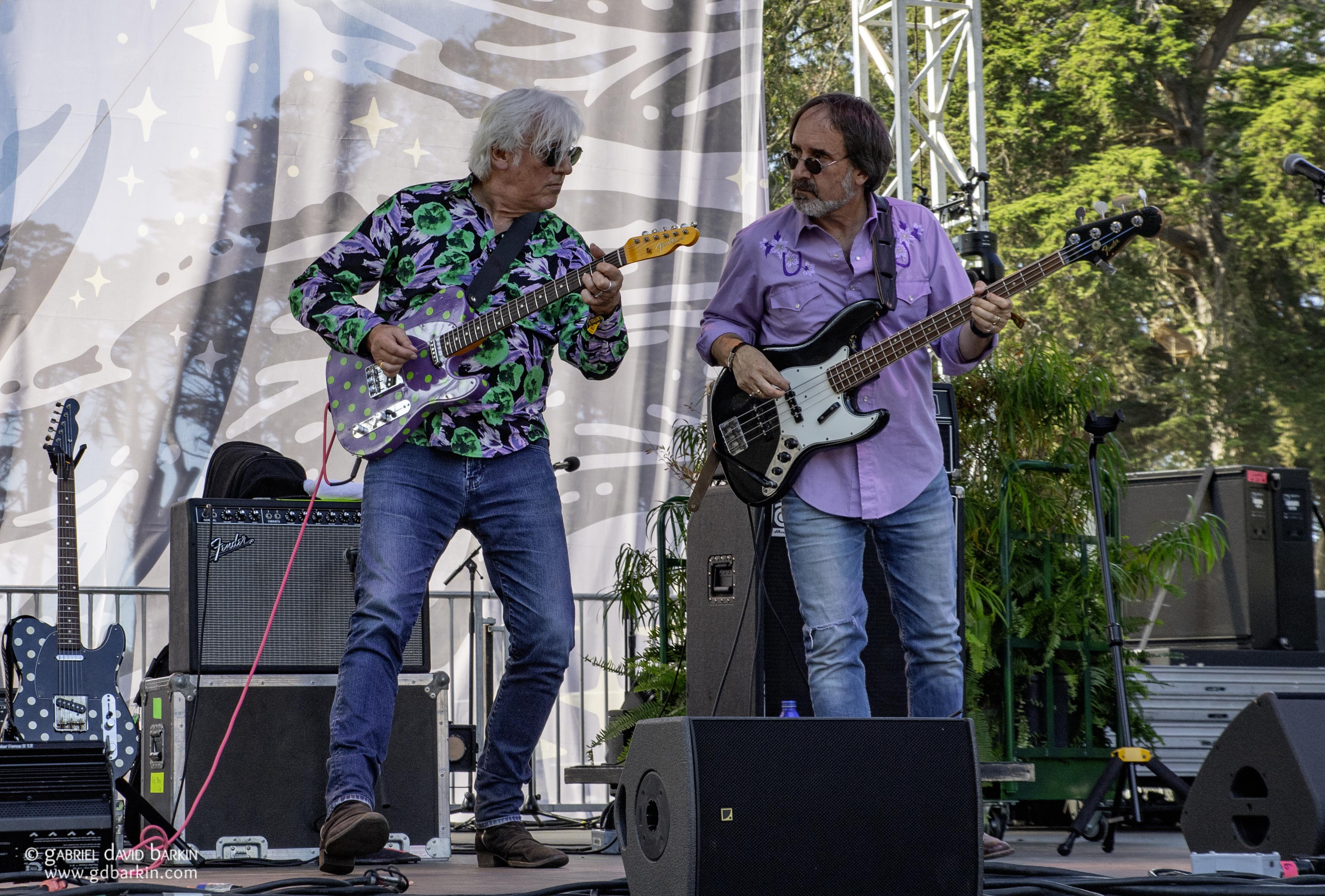 Robyn Hitchcock | HSBG