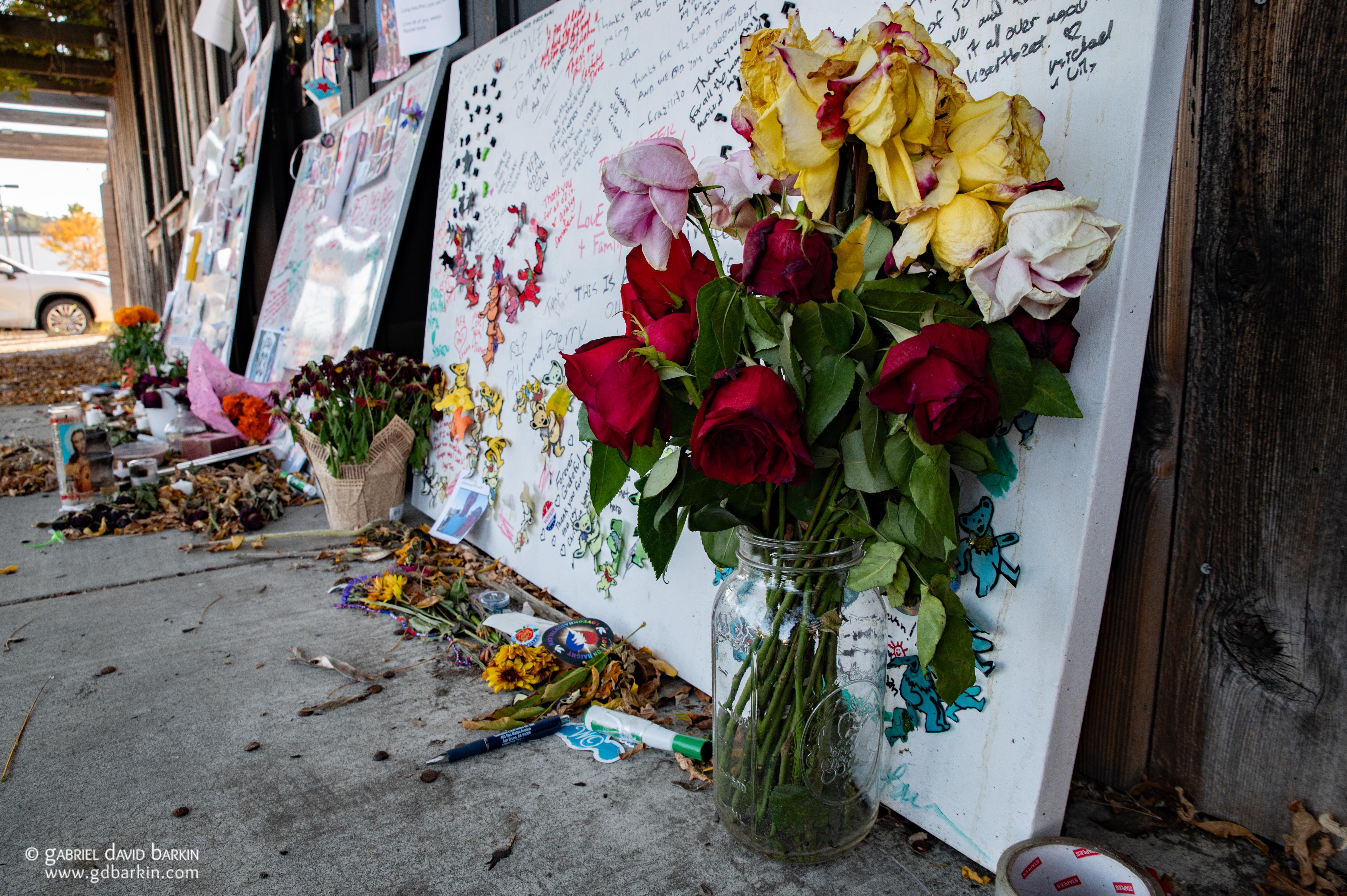 Phil Lesh Memorial