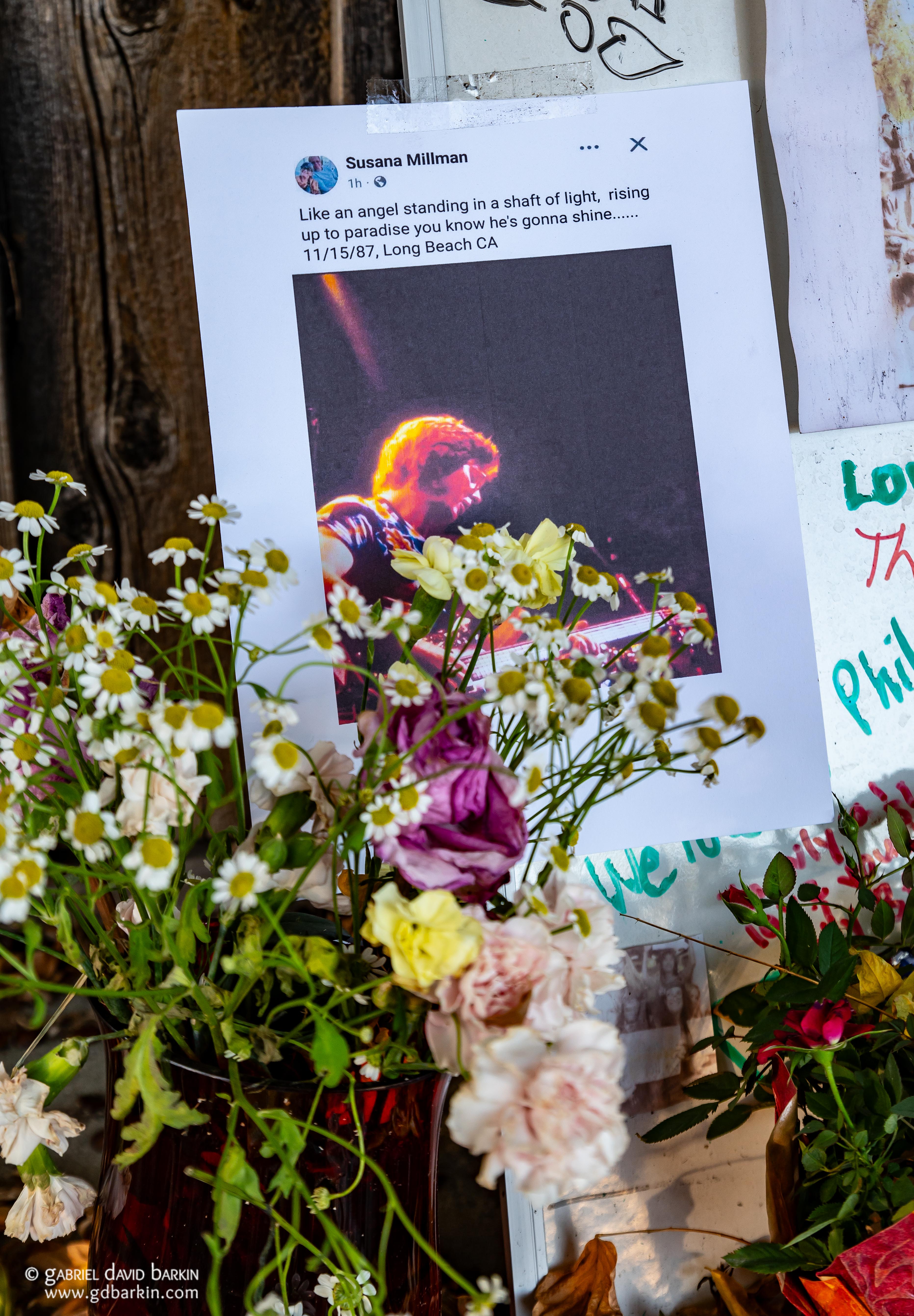 Phil Lesh Memorial