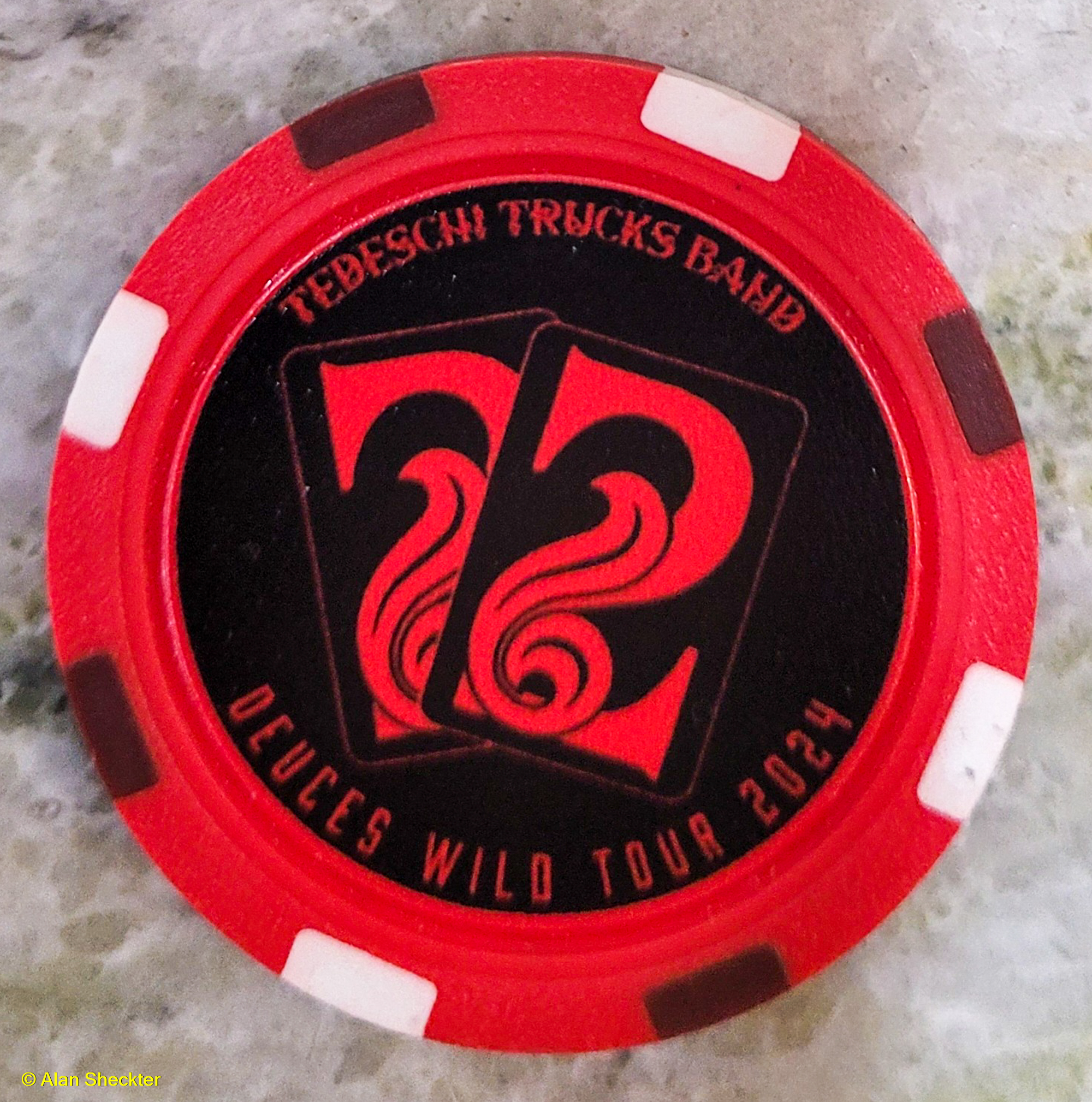 Tedeschi Trucks Band "Deuces Wild Tour 2024"