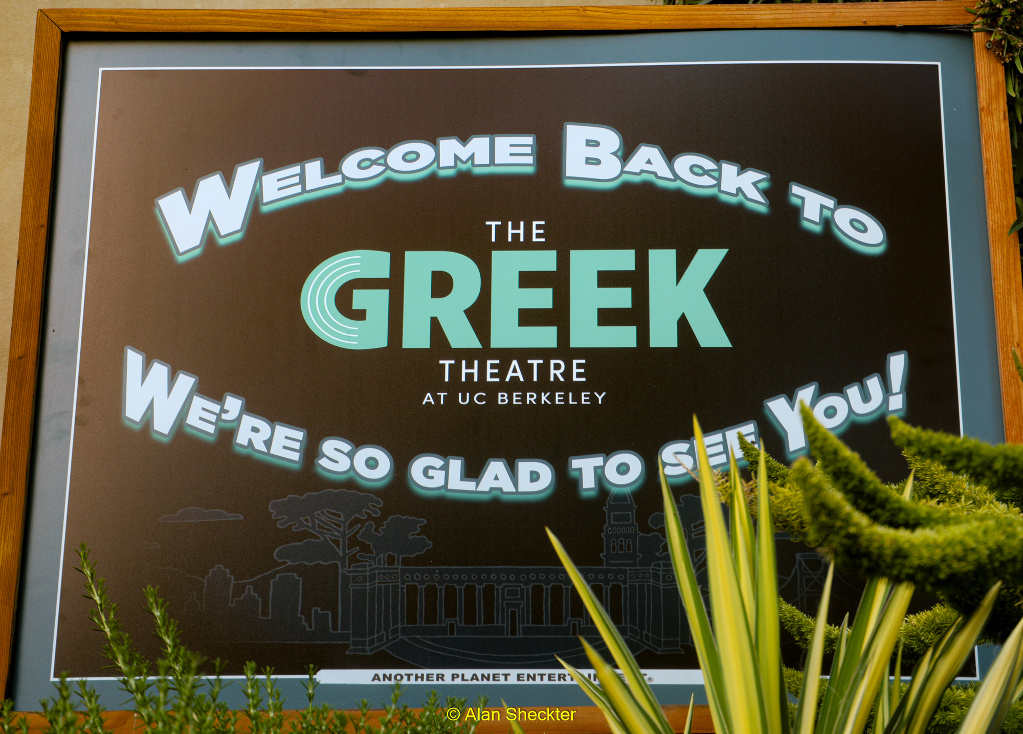 Greek Theatre | Berkeley, CA