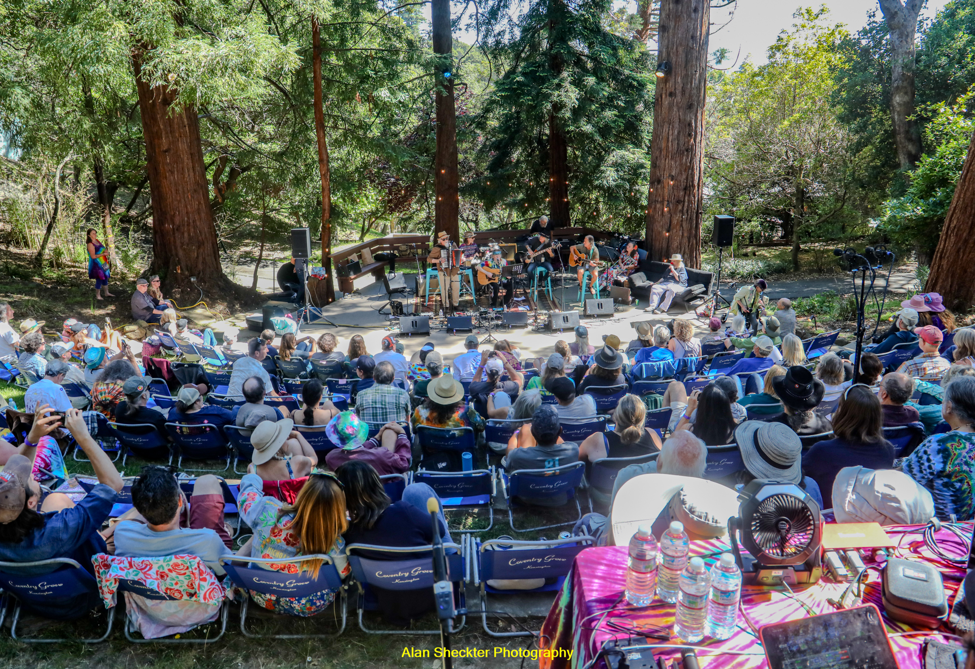 Groovin' in the Grove | Kensington, CA