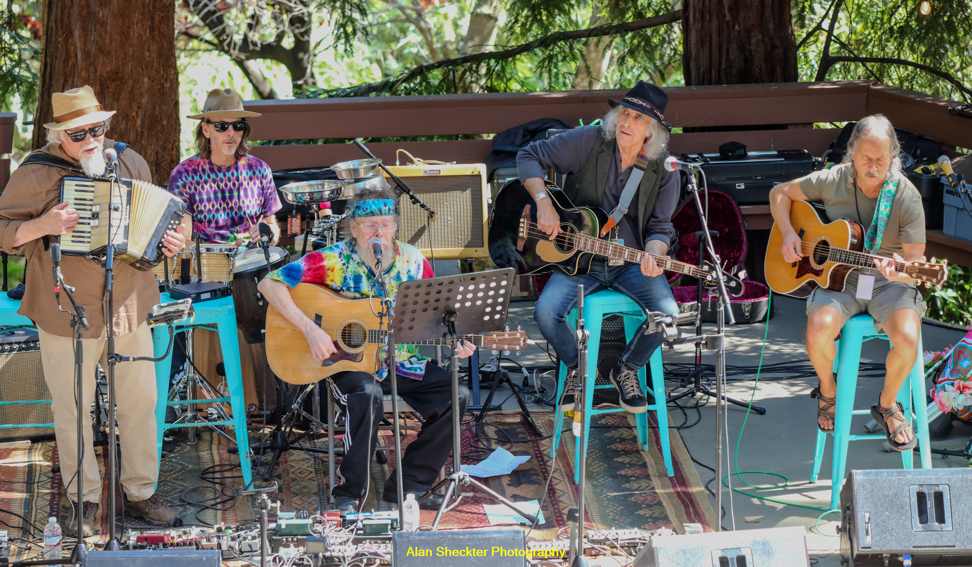 The David Nelson Band | Kensington, CA