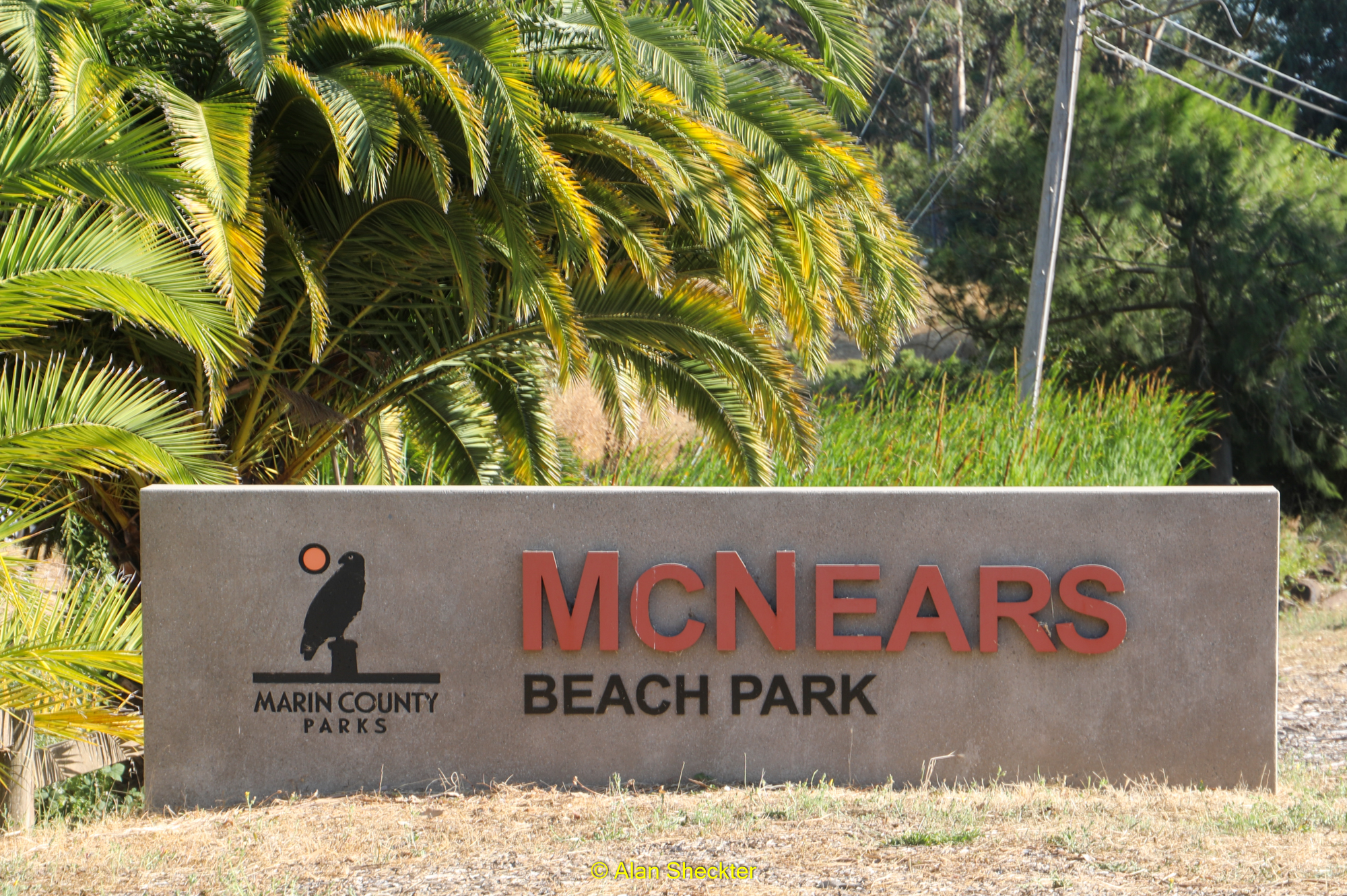 McNears Beach Park | San Rafael, CA