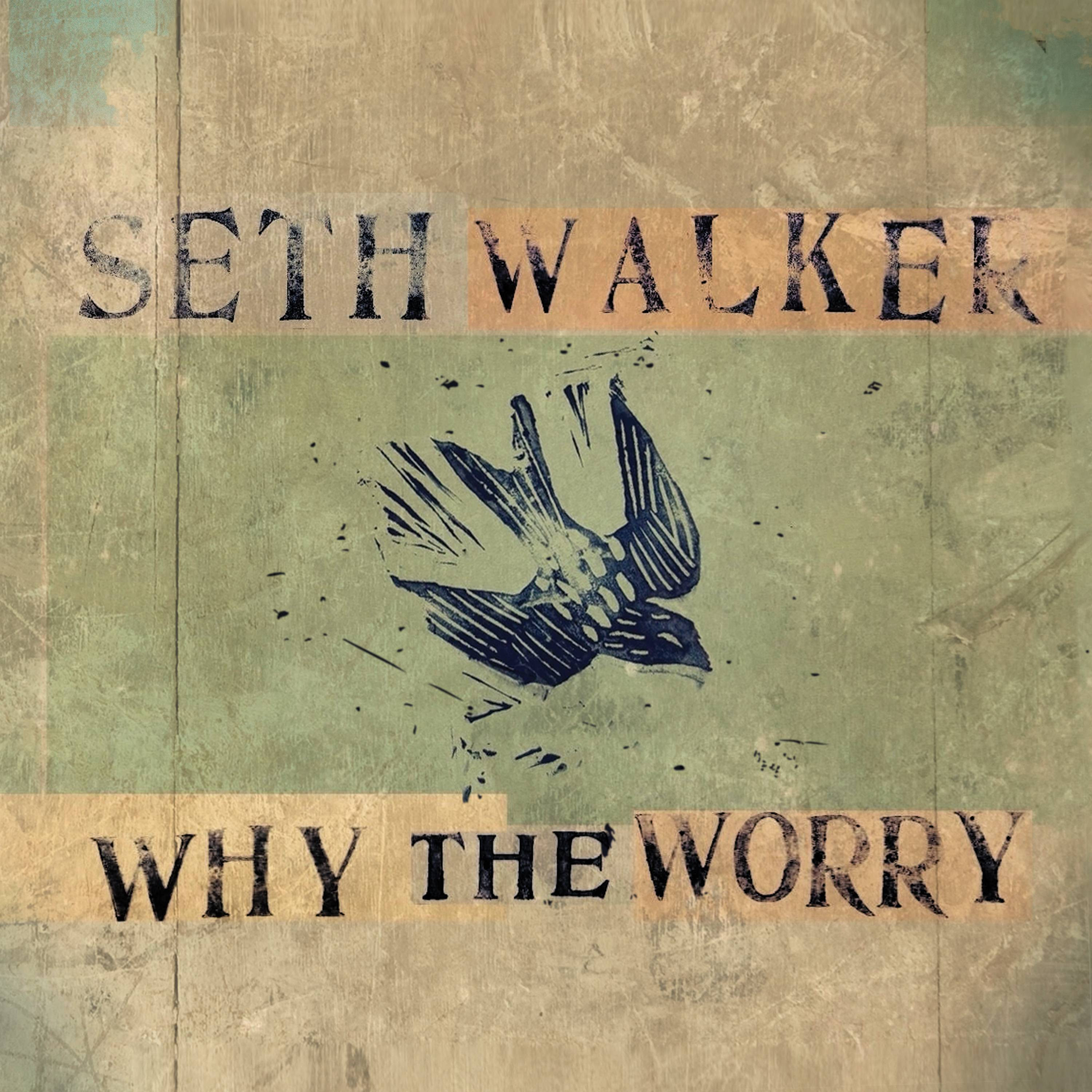 SETH WALKER | WHY THE WORRY​