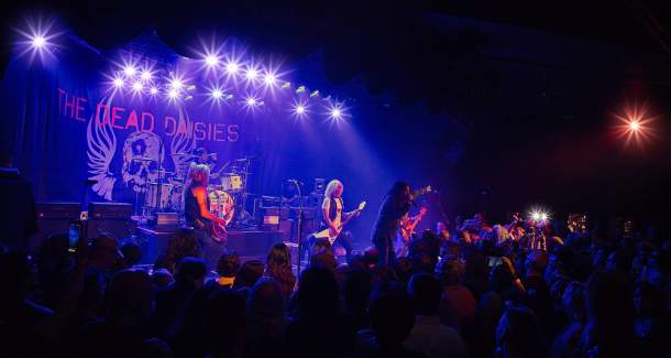 Decibels and Daisies: The Roxy's Rocking Rollercoaster Ride