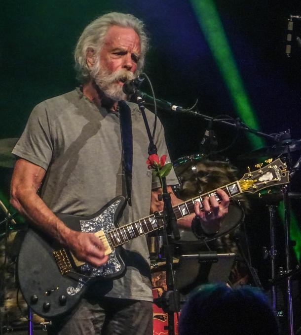 Weir And Wolf Brothers 