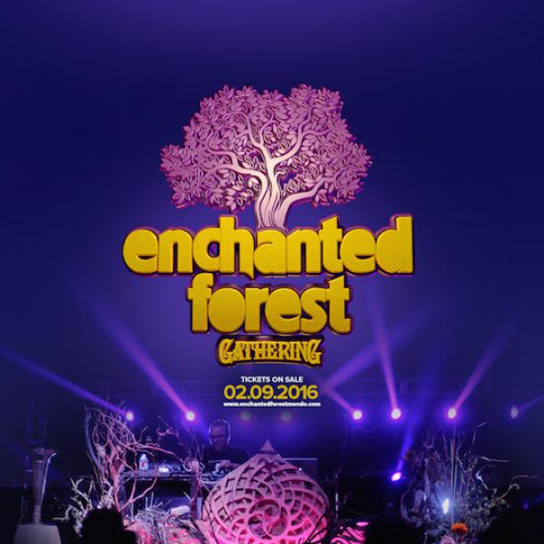 Enchanted Forest Returns Tickets On Sale 2/9 Grateful Web