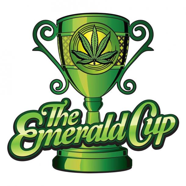 Emerald Cup Tickets Available Now Grateful Web